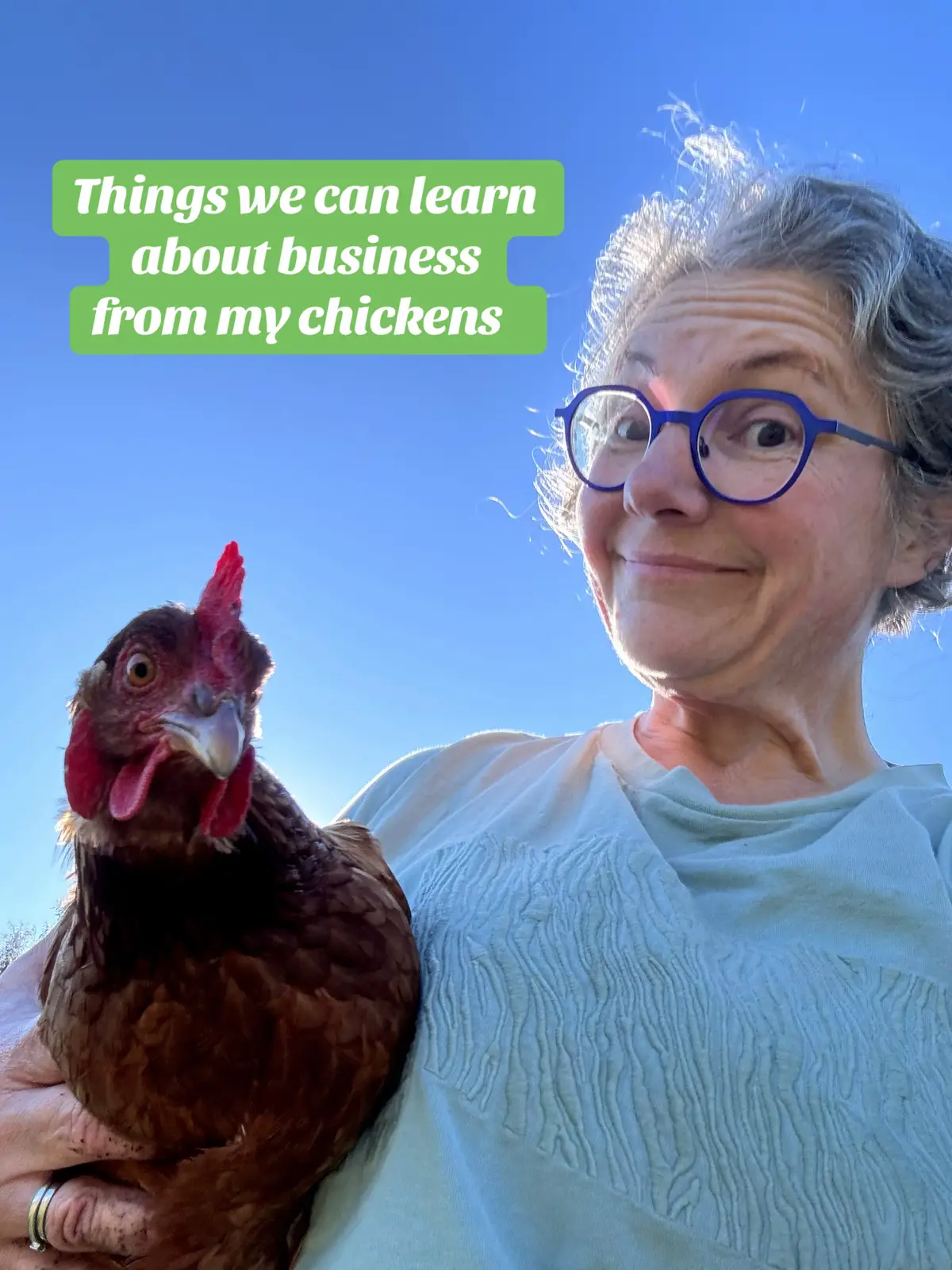 My chickens remind me all the time that if they can get out - thats on me. If they eat something that was ours - thats on me. But hey - they give us great eggs, cuddles and laughter!- and wee business stories too! #chicken #chickensoftiktok #businesstok 