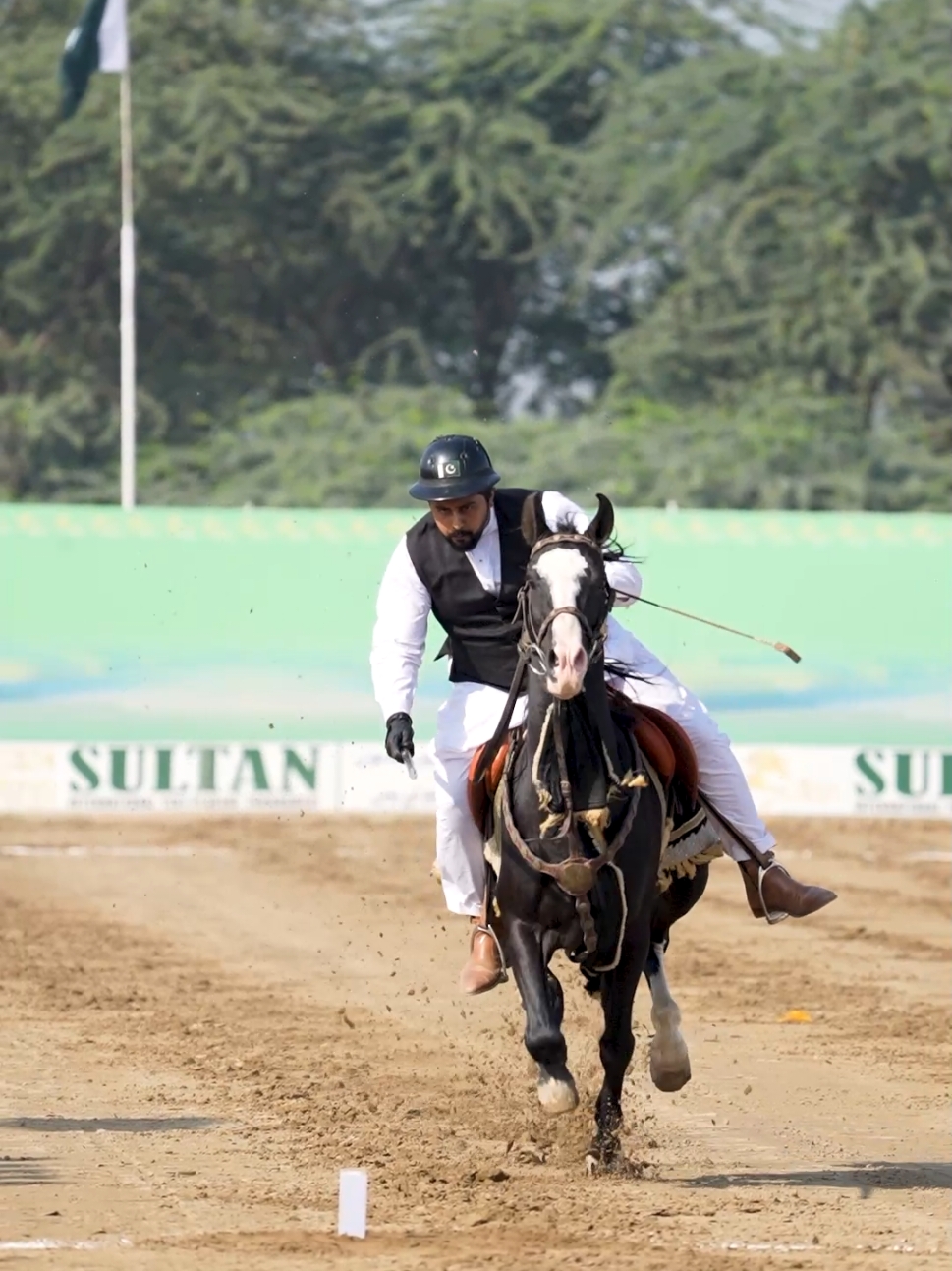 Hit the Target #sultan #sultannezabaazitournament #international #nezabazi #tentpegging #tournament #equestrian #rider #horse #federation #club #Pakistan #horses #horsepowermagazine #standwithkashmir #CapCut #fypage #foru #foryou #4u #foryoupage #fyp #tiktok #1M #cute 