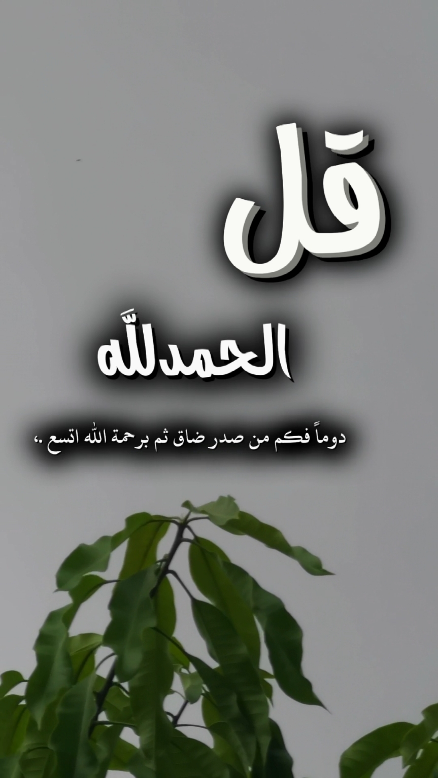 اللهم لك الحمد انت نور السماوات والأرض ومن فيهن ،ولك الحمد انت ملك السماوات والأرض ومن#عبد_الرحمن_السديس فيهن،#oops_alhamdulelah #لااله_الا_الله #الله_اكبر  #لا_حول_ولا_قوة_الا_بالله #سبحان_الله_وبحمده_سبحان_الله_العظيم ##اللهم_صل_وسلم_على_نبينا_محمد 