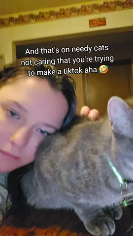 oh how I love my Yodie baby though 🥹 #yodalegend #catsoftiktok 