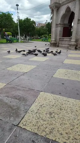 🇲🇽