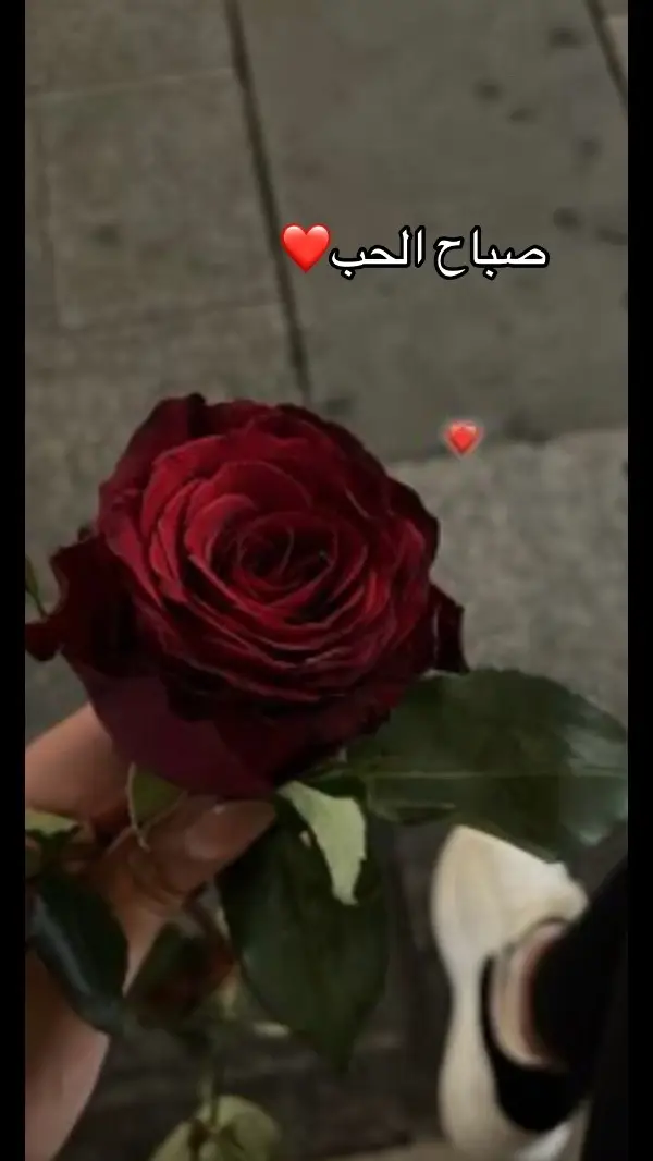 #كسبلور_explor💕 #اغاني_عربيه #rival #fyp 
