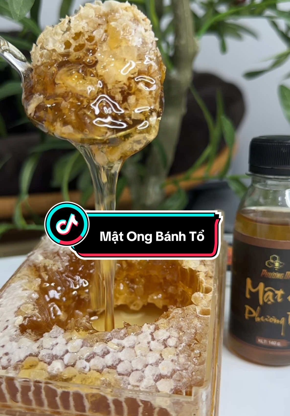 Thấy nhiều người ăn mật ong bánh tổ cũng tò mò mua về ăn thử #matongbanhto #matongbanhtophuongdi #matong #matongphuongdi #ancungtiktok #review #food #xuhuong 