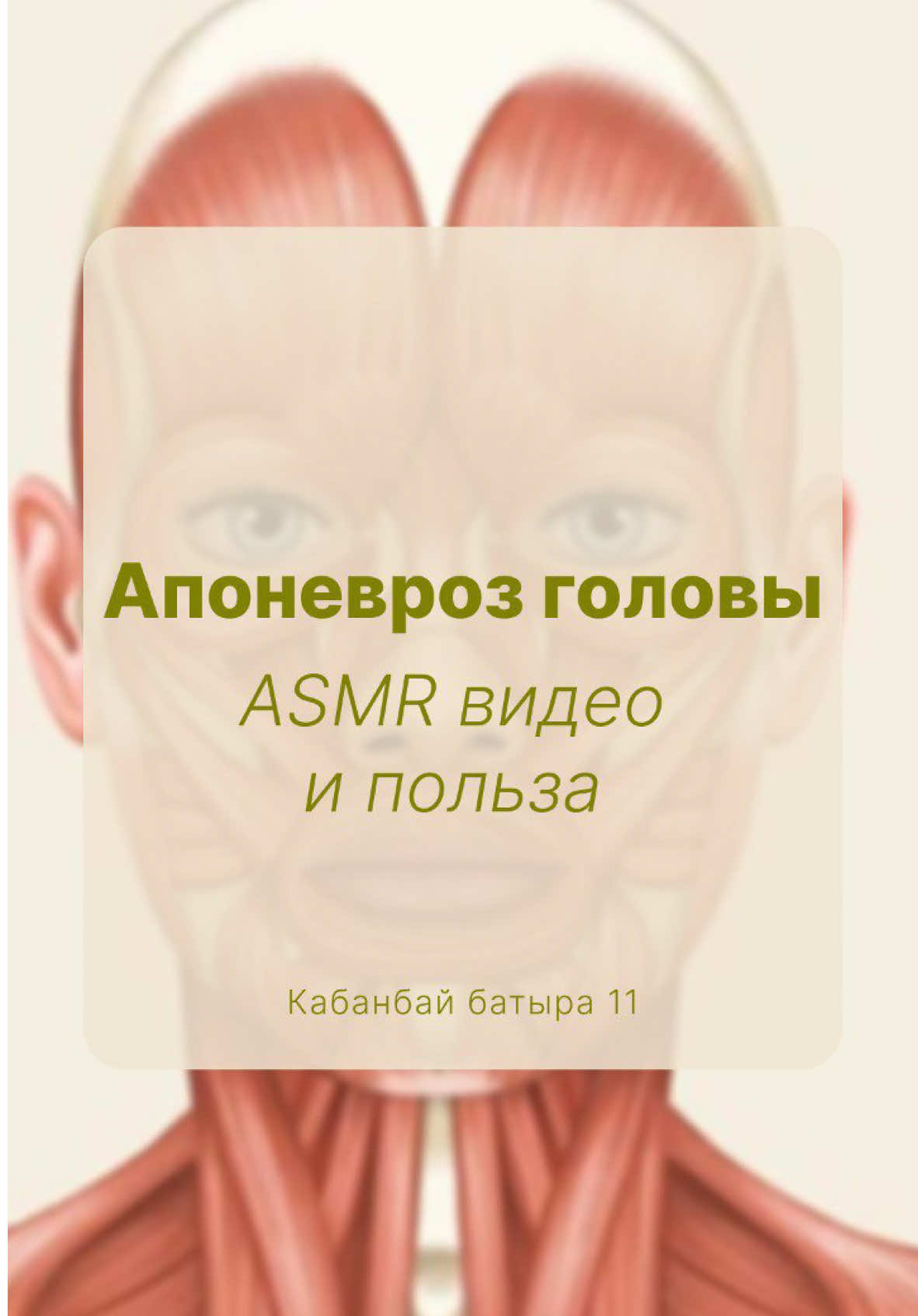 Зачем нужен массаж апоневроза головы? Апоневроз — это своеобразный «шлем» из плотной ткани, покрывающий верхнюю часть головы. Напряжение в этой области может приводить к зажимам, морщинам, снижению тонуса кожи и даже головным болям. Массаж апоневроза помогает снять это напряжение, улучшает кровообращение и способствует естественному лифтингу, делая черты лица более расслабленными и свежими. Во время массажа могут быть слышны щелчки — это не только нормально, но и полезно! Они означают, что фасции и ткани головы освобождаются от зажимов, позволяя мышцам глубже расслабиться.  Если вы хотите сохранить молодость и здоровье кожи, приглашаю на массаж!   📍Адрес: Кабанбай батыра, 11   📞Телефон: +7 708 665 12 52 #швз #апоневрозголовы #миофасциальныймассаж #шейноворотниковоязона #лимфодренажныймассаж #буккальныймассаж #массажастана #фейсфитнесс 