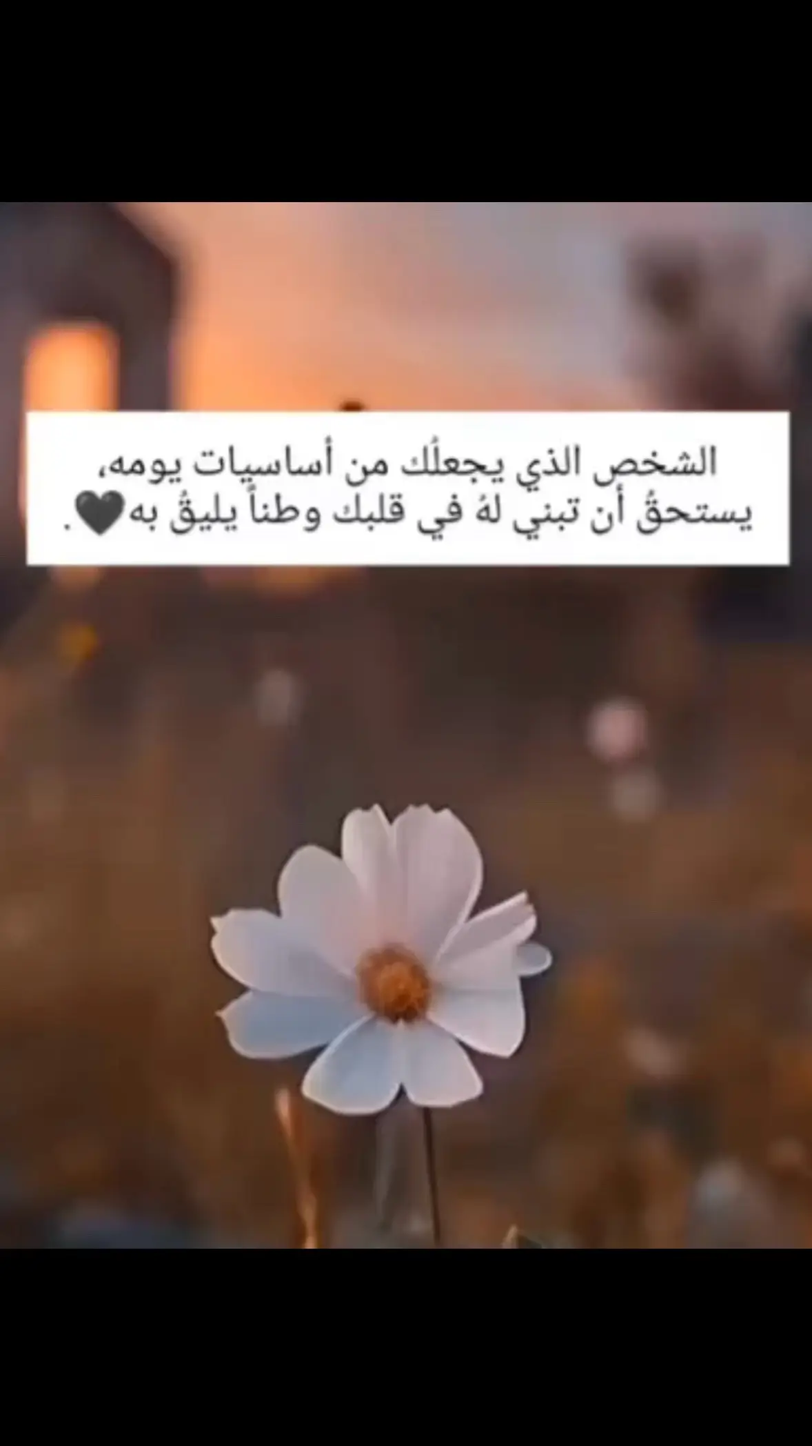 #اكسسسبلوووررر🕊️💞🕊️ 