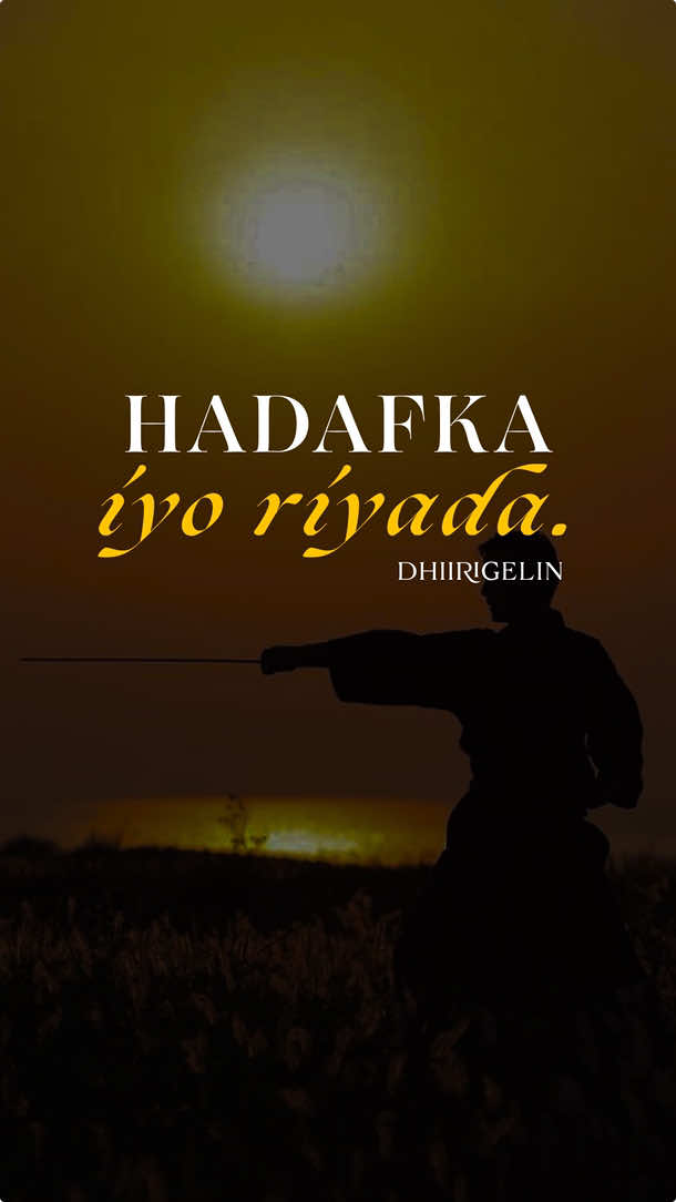 #dhiirigalin #somalitiktok #dhiirigaliyaha_nolosha #sheekhmustafe #motivation #fy #dhiiragalin #dhiirigeliye 