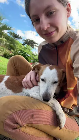 Tenha você tbm um Cão Colono. 