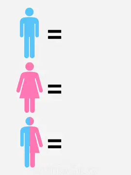 gender meme #GenshinImpact 