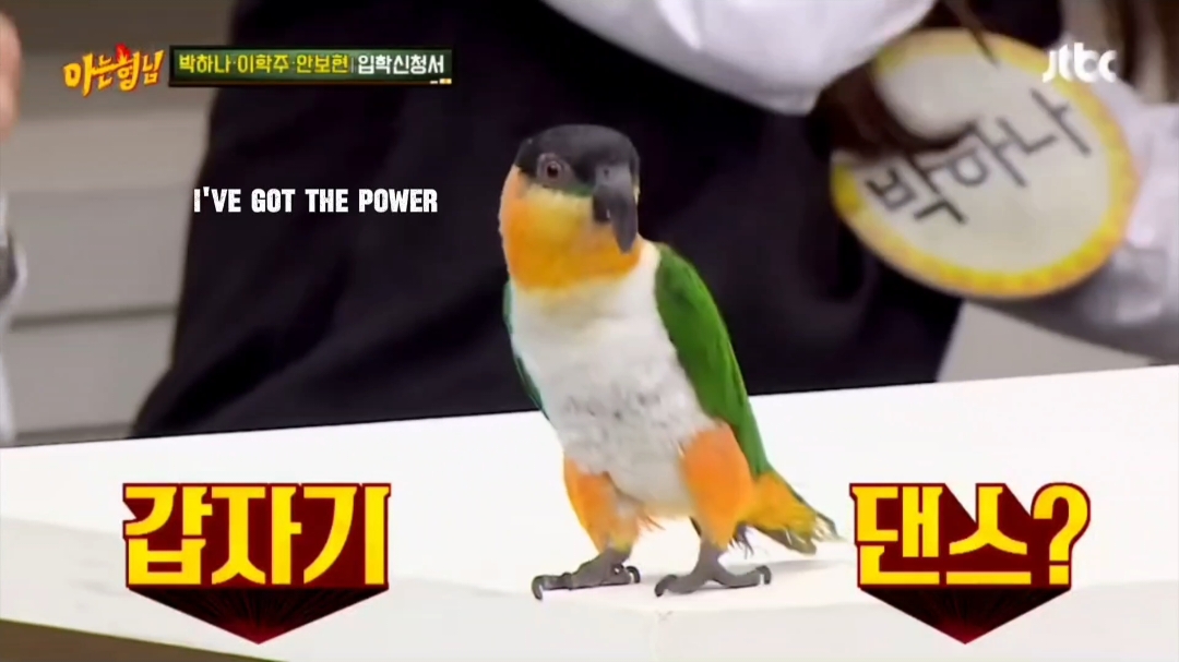 Nana | power #knowingbros #bird G Dragon 