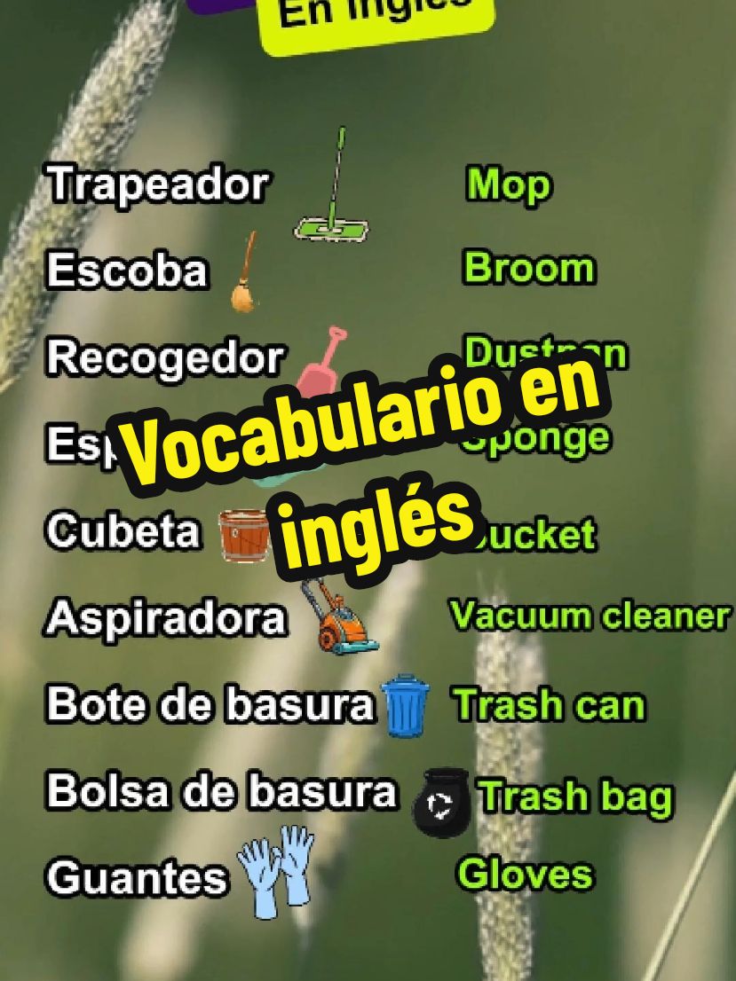 Vocabulario en inglés 🇺🇸  #ingles #inglesfacil #inglesrapido #aprendeinglesconcamilo #inglesamericano #vocabularioeningles 