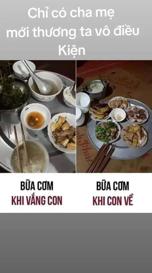 Chỉ có cha mẹ mới thương chúng ta vô điều kiện 