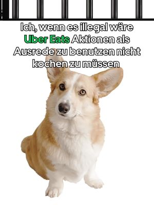 Spare je 15€ auf deine ersten 2 Bestellungen mit dem Code: DE56JBZ. Es gelten die AGBs.