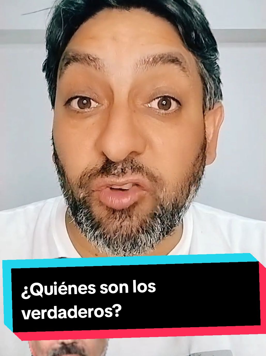 ¿Cuales son los verdaderos? #hijos #hijosdepapito #chilenos #parlamentarios #camarabaja #joaquinlavinjr #profeociel #profeociel😊 #derechachilena #chiletiktok #diegoschalper #coloma #felipekast #alessandri #diputados #familias #laudi #udi #uniondemocrataindependiente 