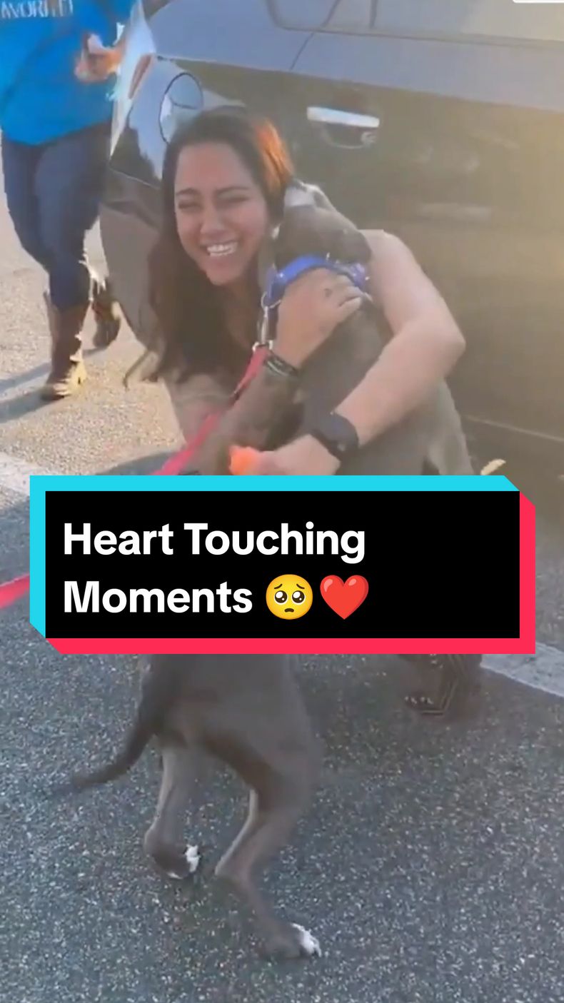 Heart Touching Moments 🥺❤️ #dog #puppy #dogsoftiktok #doglovers #reunion #reunited #hearttouching #wholesome #emotional #fyp #foryou 