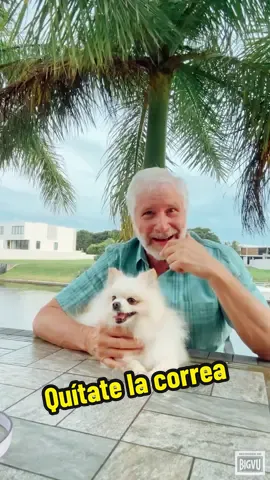 Sal de tu zona de confort.#abuelogarrick#raul_chaccur#notemeapendejes#amorpropio#autoestima#dignidad#veracruz#pomeranian 
