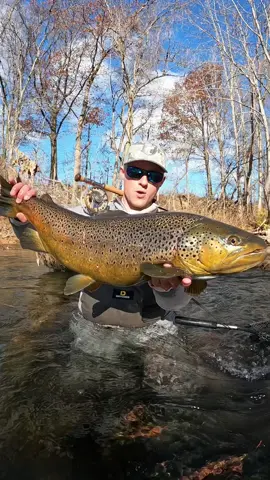 This fish is in my all time top 5 of any fish that I’ve ever caught! This was from almost exactly a year ago today and as I travel across the country living in a van searching for even bigger and crazier fish I can’t help but look back at one of the greats!  Stay tuned for a sturgeon later this week! 👀 • •  • #fishing #browntrout #pb #personalbest #flyfishing #trout #troutfishing