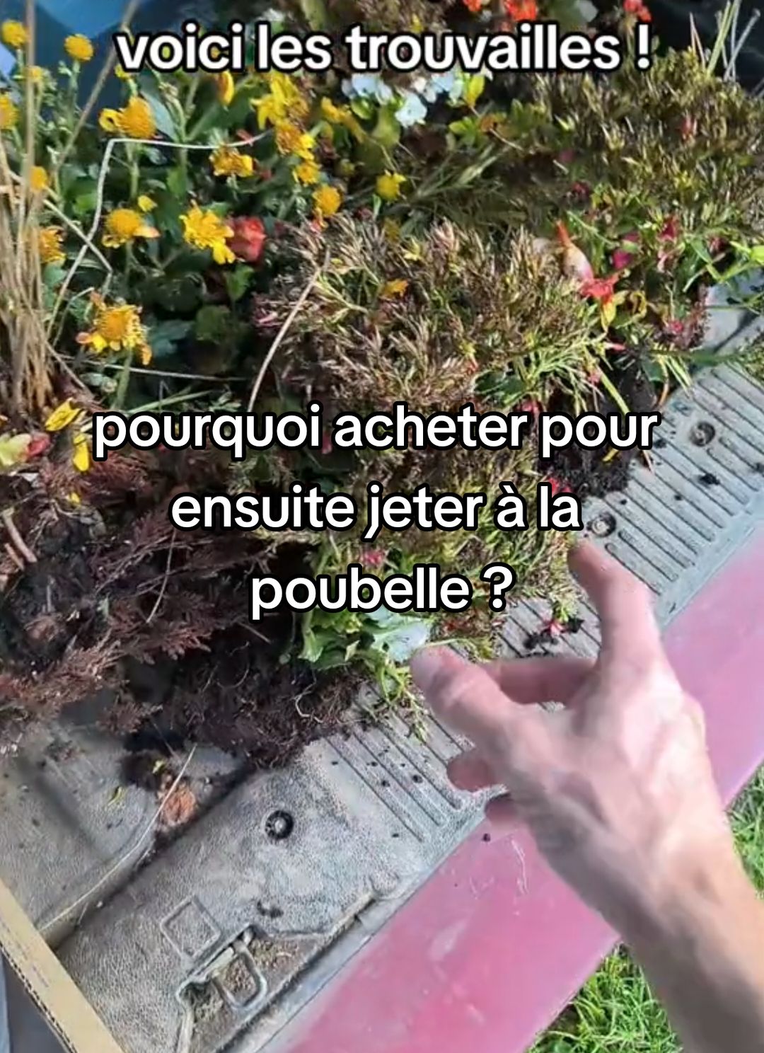 c'est vraiment écoeurant un tel gaspillage !  #avis #reaction #Vlog #jardin #upcycling #recycle 