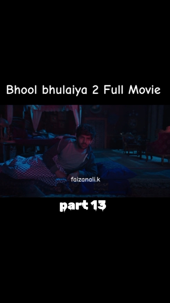 part 13 . #bhoolbhulaiya2 #kartikaryan #bhoolbhulaiya #bollywood #kiaraadvani #triptidimri 