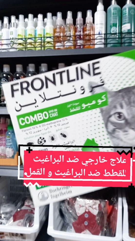 علاج خارجي ضد البراغيث و القمل و القراد للقطط  pipette frontline antiparasitaire  pour chat  #catsoftiktok #chat #animalerie #protect #antiparasitaire #frontin #kouba #dzpower #accessories #dz #fyp #explore #explorer 