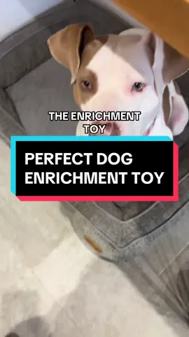 What a toy this has been! My go-to toy when I just need Laika to be occupied solo for an hour. #dogs #doggo #dogsoftiktok #dogenrichment #snufflemat #tiktokmademebuyit 