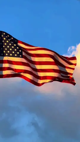 Election Day! #usa🇺🇸  #norfolk #virginia #americanflag 