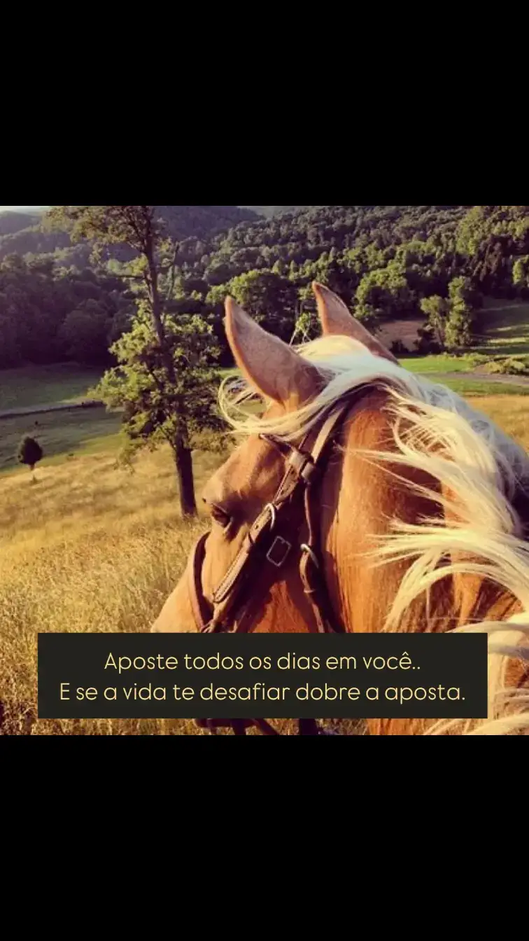 #cavalo #sertanejo 