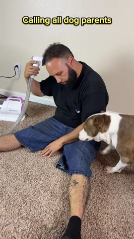 This grooming kit is a must-have 🐶🦮🐈😻 #doggroomingvacuum #grooming #dogsoftiktok #petgrooming #petgroomingkit #groomingvacuum #geoorood #tiktokshopblackfriday #tiktokshopcybermonday @Geoorood pet 