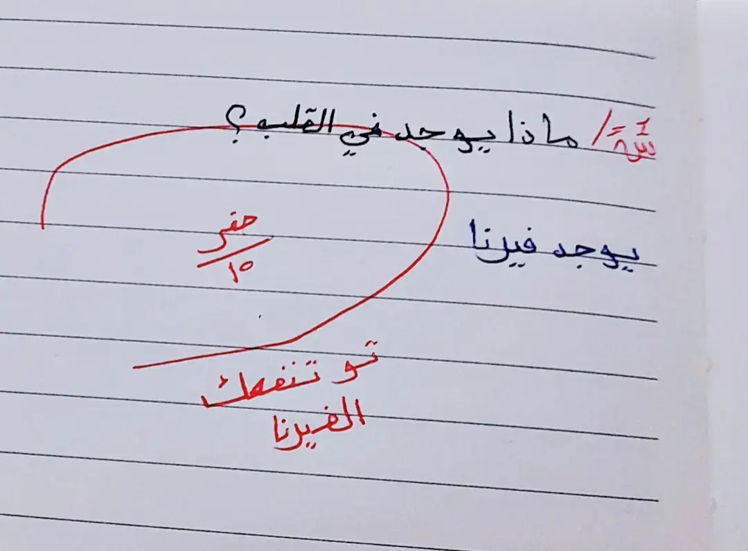 #فيرنا_ياحاج❌🦅 #فيرنا_ولا_رزق_غيرنا #الشعب_الصيني_ماله_حل😂😂 #زليتن_ليبيا_زليتن_وأحلى_زليتن #زليتن_ياكبدي💸🔥