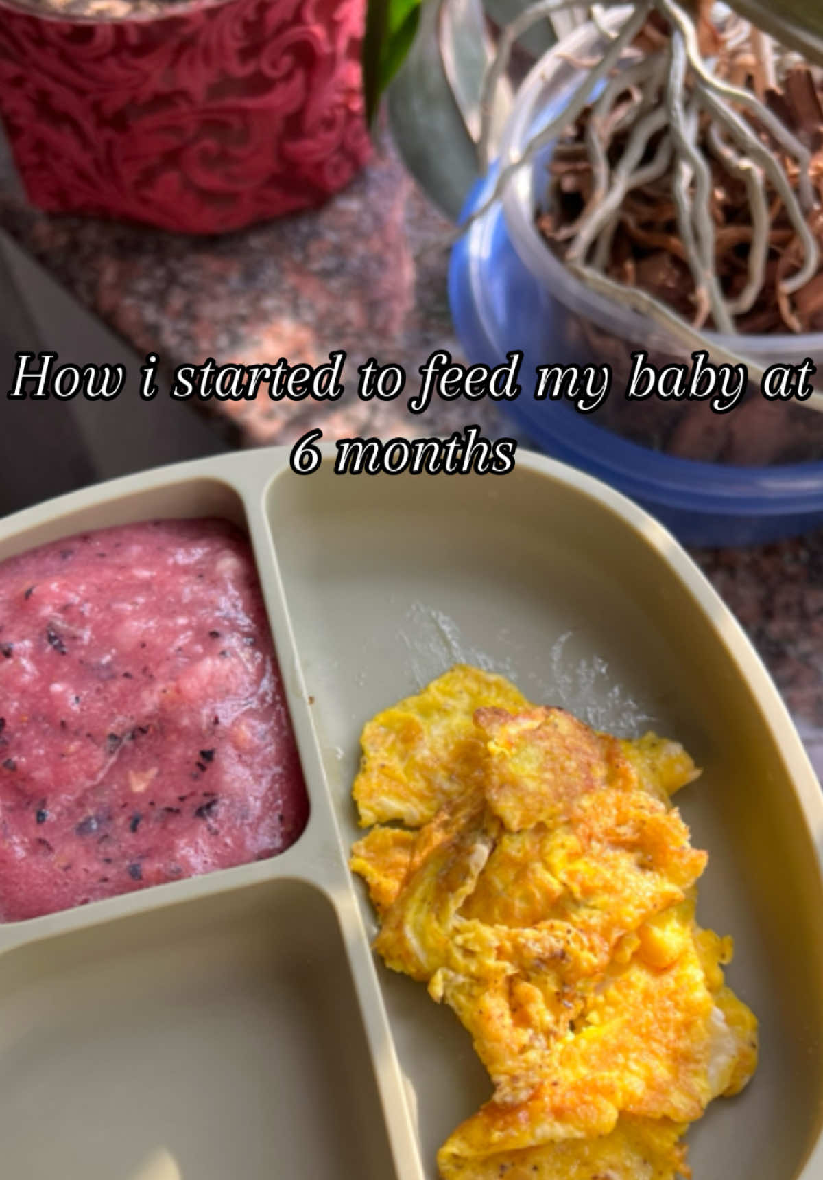 #creatorsearchinsights How we started our complementary feeding at six months. This time I clearly understood that I would not feed the child myself, but would monitor how he eats. I knew and was absolutely sure that in no case would I give the child ready-made mixtures from the store, which contain a lot of sugar and all sorts of additives that are incompatible with the child's health. As a result, I got a child who is three years old and does not need any help or blenders, and he is independent in everything