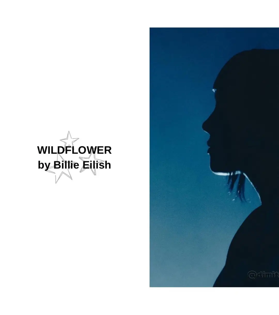 WILDFLOWER by Billie Eilish #billieeilish #lyric #fyp 