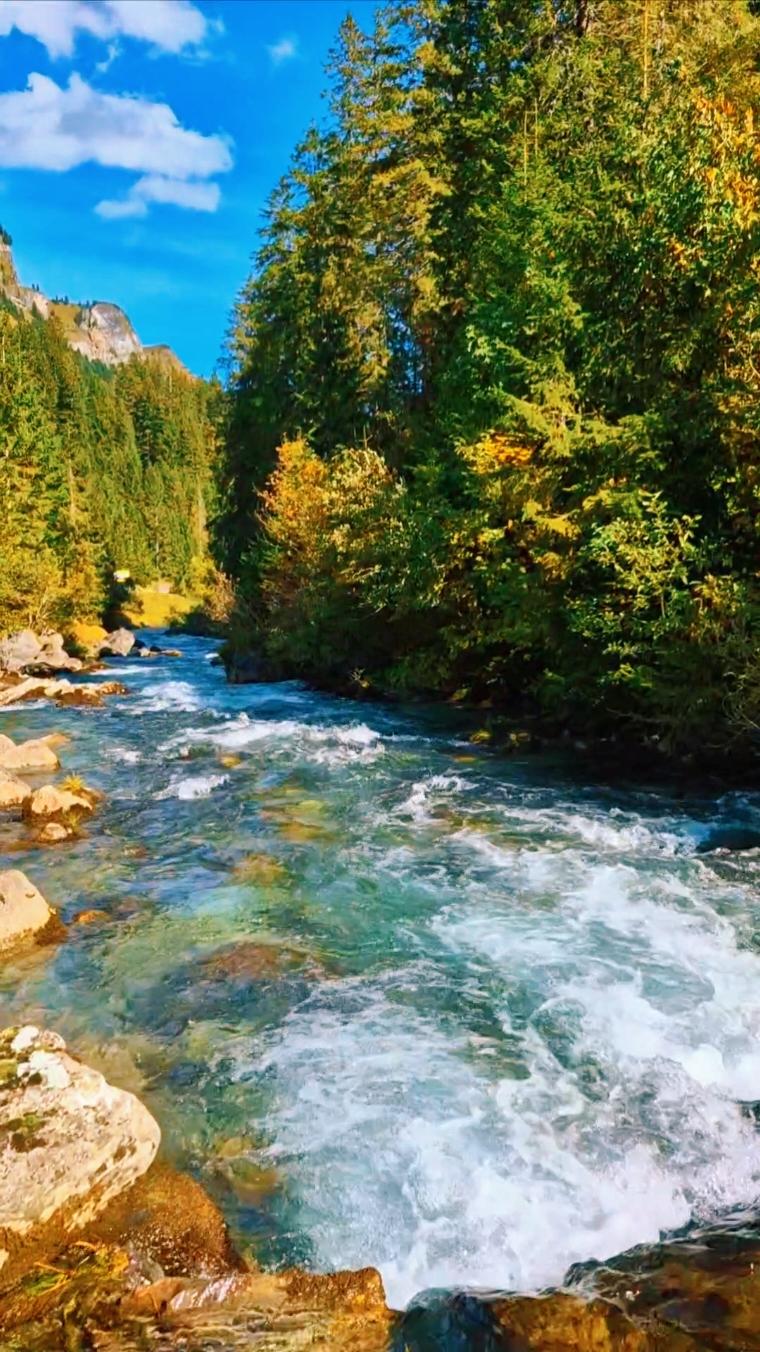 One moment in Nature🇨🇭💚 #switzerland #river #stream #nature #naturelover #naturevibes #swissalps #enjoy #moment #water  #autumnvibes #goodvibes #wanderlust #wanderer #Outdoors #peaceful #calm  #relaxing #relaxingvideos #fyp #swiss #natureathome 