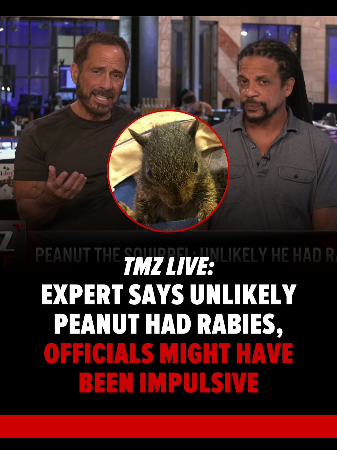 According to an infectious disease expert, it is unlikely that Peanut The Squirrel had rabies -- so why did NY state officials euthanize the animal? Harvey, Charles and Deven delve into the latest updates from the shocking story on #TMZLive.