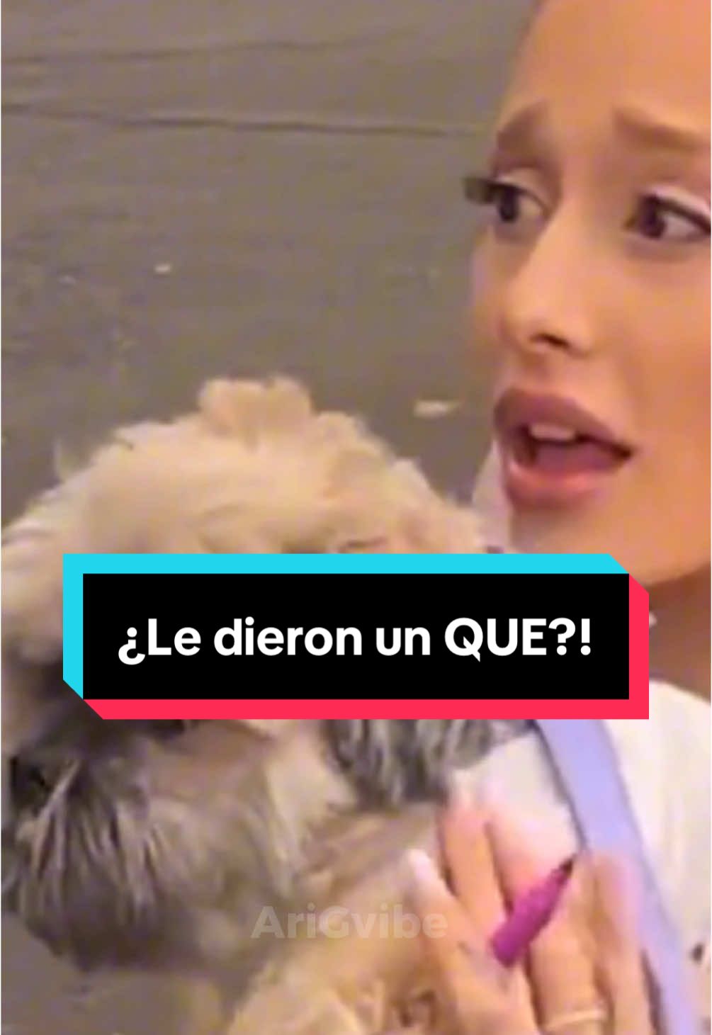 No la merecemos🥺🤍 JAJAJA #arianagrande #ariana #wicked #arianator #arianators #arianagrandefan @arianagrande 