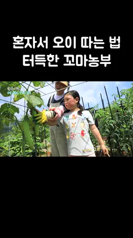 꼬마농부의 오이 따기 비법 #골라듄다큐