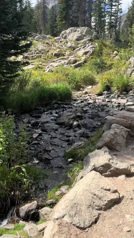 Very demure, very mindful 🧘🏼‍♀️  #demure #mindful #rockymountainnationalpark #rockymountains #peaceful 