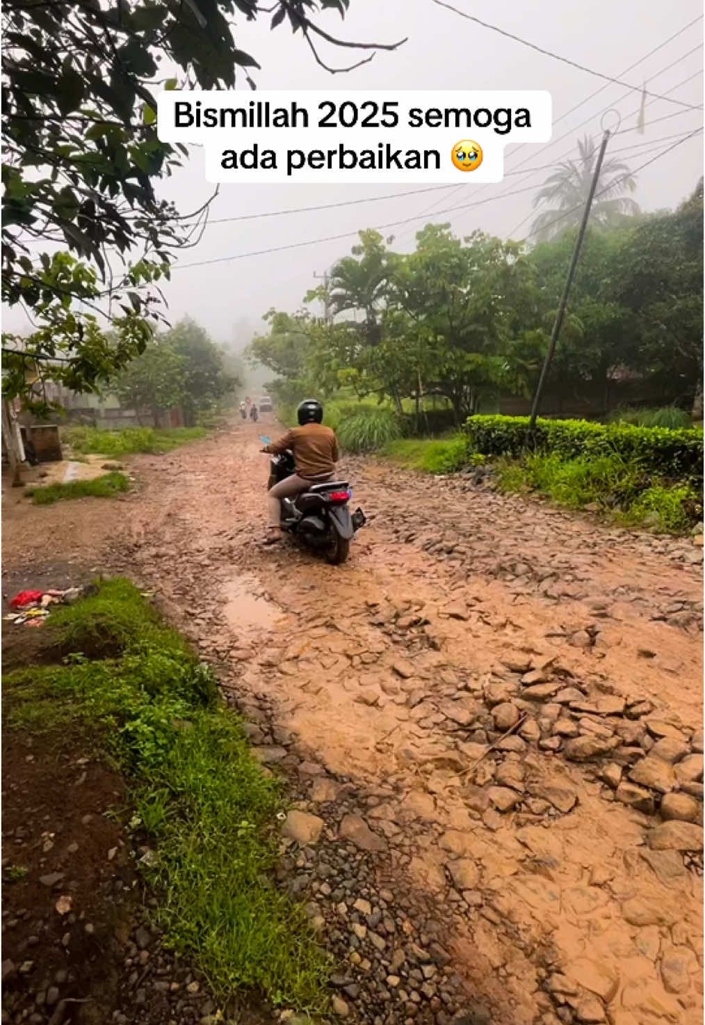 Tolong pak presiden padahal ini jalan penghubung antar kecamatan sudah bertahun