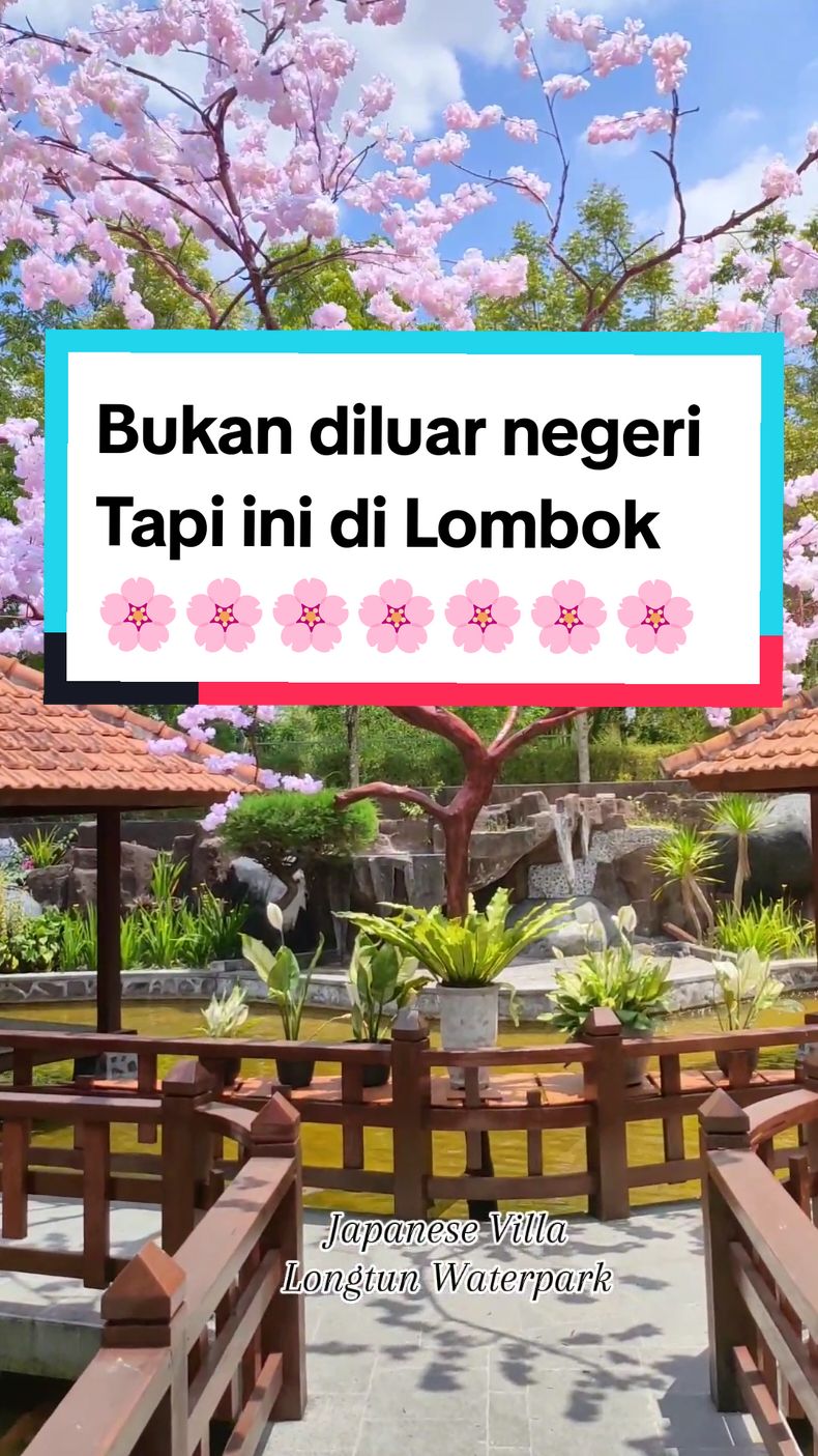 siapa yang belum pernah pose dibawah sakura ini??? sini angkat tangannyaaaa😁 #fyp #fypシ #fypage #fyppppppppppppppppppppppp #viral #viralvideo #lombok #japanese #sakura #holiday 