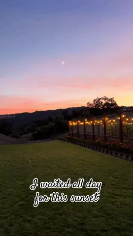 These sunsets keeps me grounded #sunsets  #gardendesign #garden #sunset #niceview