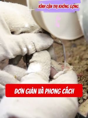 Kính đổi màu không kén mặt mang vào là đẹp trai gấp 3 lần