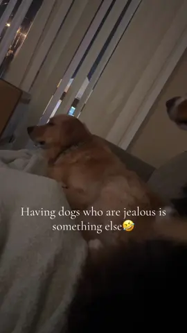 Can’t ever sit on the couch by myself😅 watch till the end for a jump scare