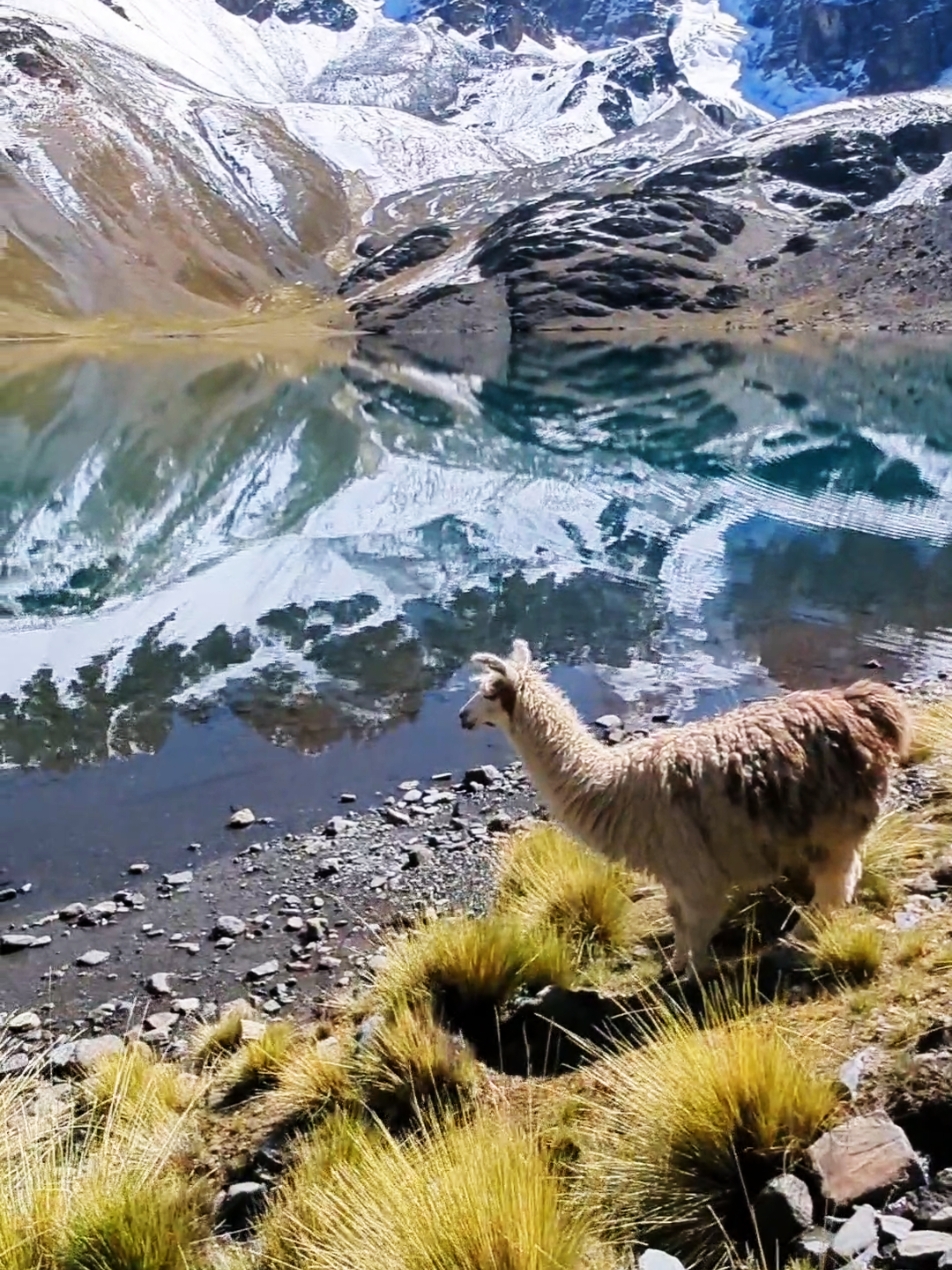 Tuni Condoriri, Cordillera Real, Bolivia  #cordillerareal #bolivia #tunicondoriri 