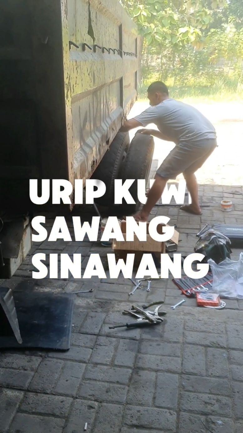 #CapCut #fyp #fypシ #fypage #marines #indonesia #indonesiamarines #kebanggaan urip kuwi swang sinawang