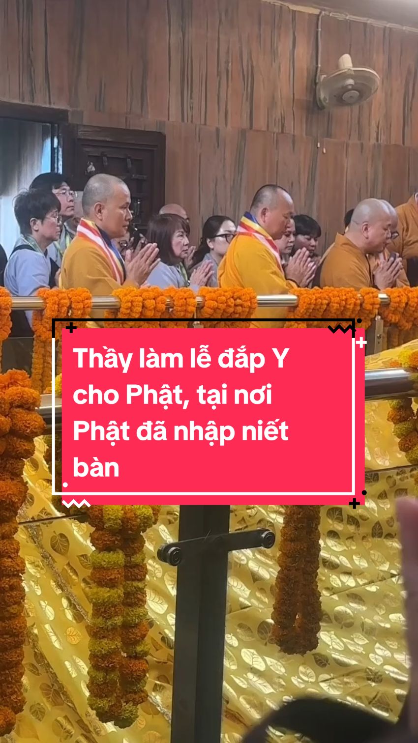 Thầy và đoàn Phật Tử nghẹn ngào cảm xúc khi làm Lễ đắp Y cho Phật Thích Ca tại nơi Phật đã nhập niết bàn 🙏🙏🙏 #thichphaphoa  #thaythichphaphoa  #phatthichca