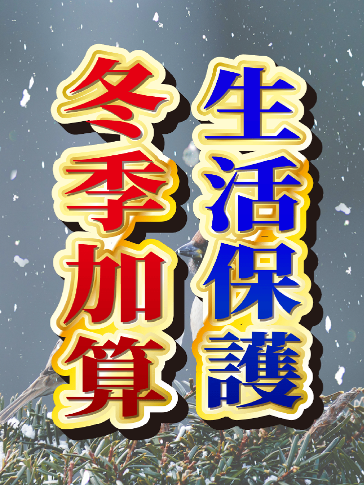 生活保護の冬季加算とは？もらえる金額や支給期間を解説！ #生活保護 #冬季加算 #福祉制度 #制度解説  ＼＼誰も取り残されない社会を作る／／ ⏩障がい者雇用に特化した求人サイト運営 ⏩障害・難病・LGBTQなどニュース、情報を配信 VOICEVOX:青山龍星 VOICEVOX:春日部つむぎ