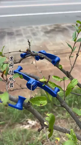 dụng cụ uốn cành cây nông nghiệp  #dungcunongnghiep