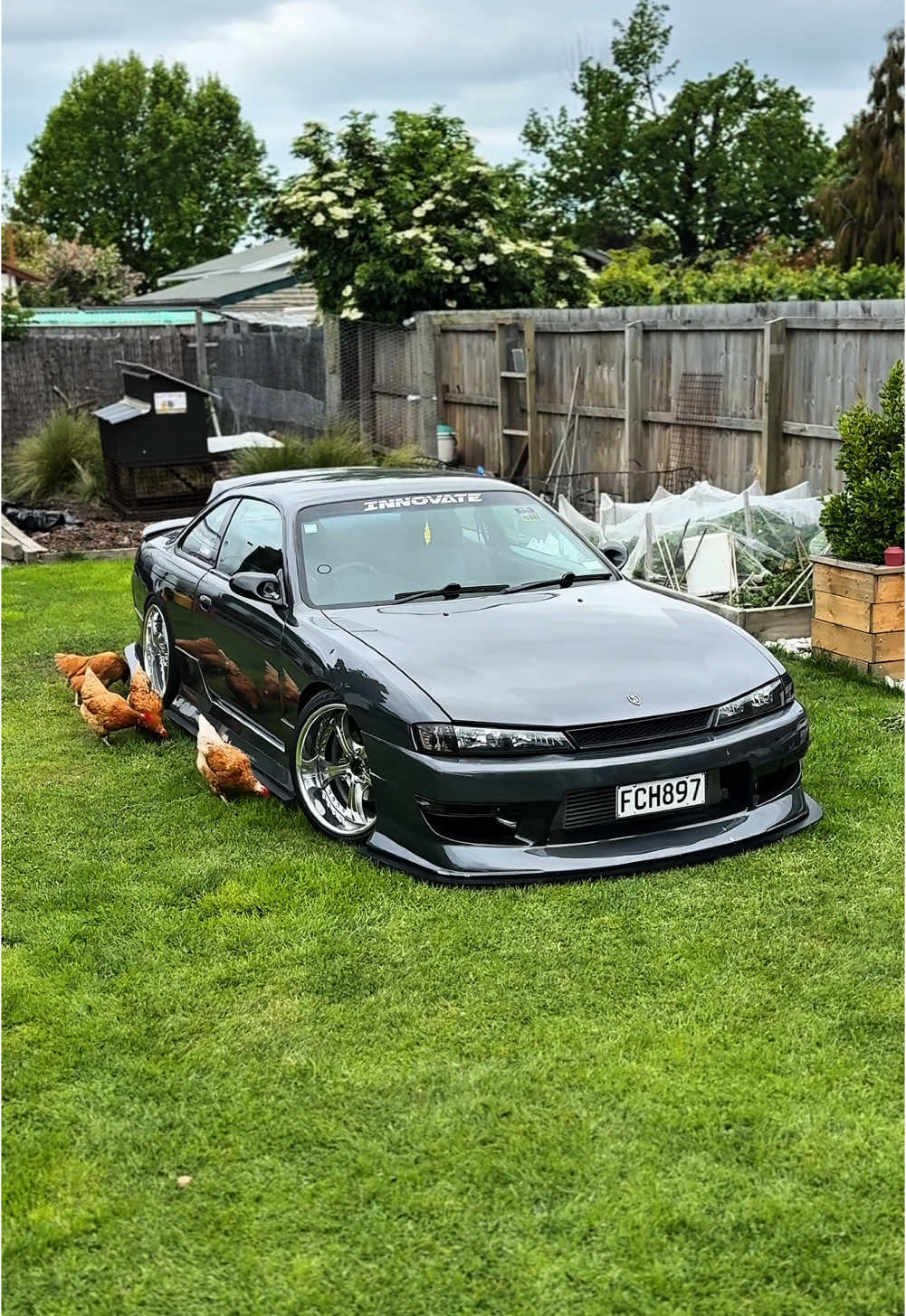 The chickens were a paid actor 🐓 #silvia #fyp #cars #kouki #chicken #chickens 