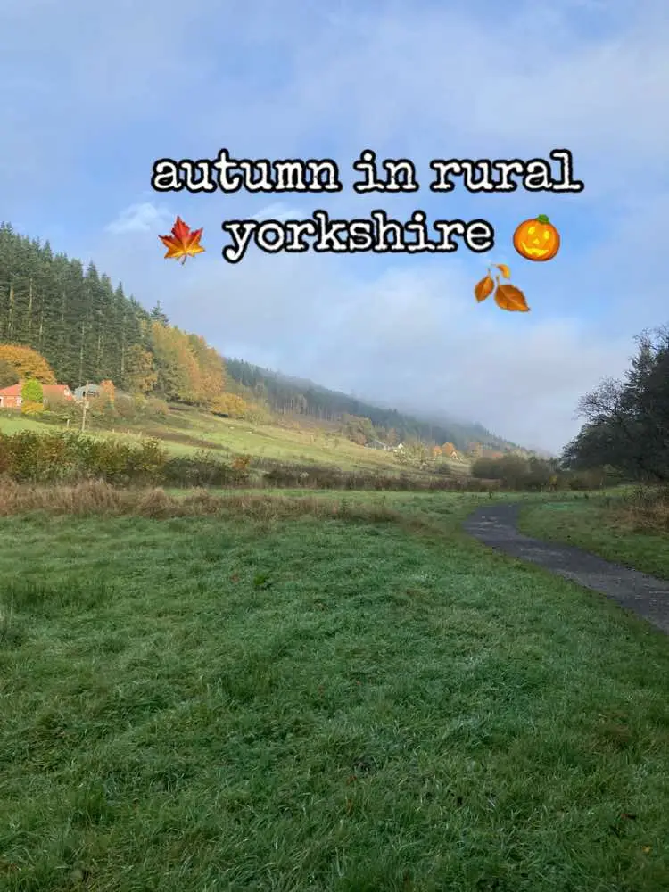 #york #fyp #traveltiktok #traveltok #autumn #fall #gilmoregirls #october 