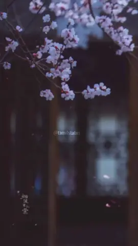 yaaro manathile...❤️‍🩹🎧🥀 #fypsounds #tamilstastus #fypage #fyp #fypシ #haridarshini #fypシ゚viral 