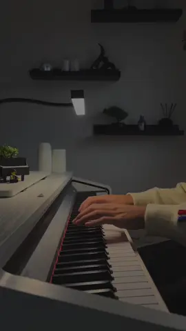 Thank you all for 10k follower 🫶🏽🎹#creatorsearchinsights #piano #fyp #pianotok #idea1 #gibranalcocer 