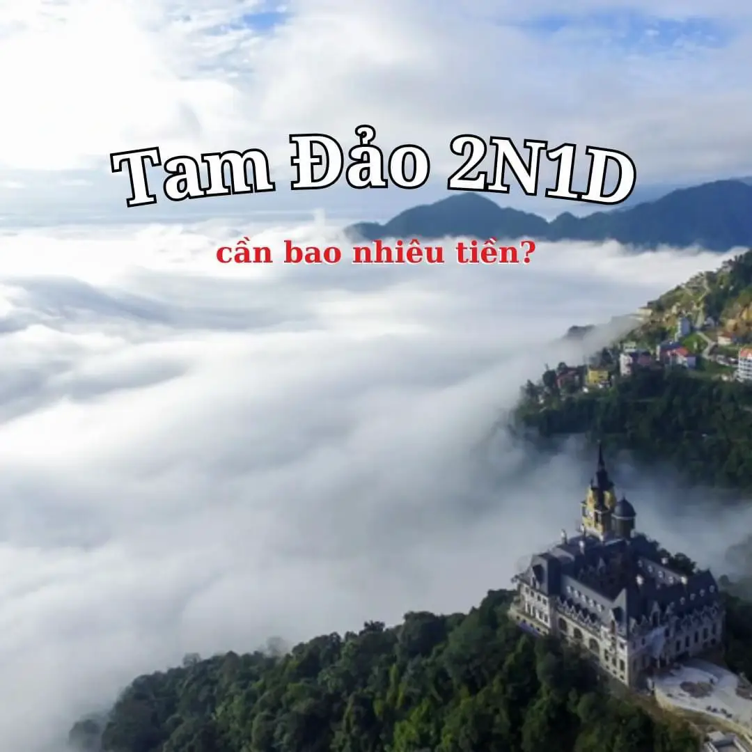 Các bạn có thể tham khảo nhé #tamdao #reviewtamdao #tamdaovinhphuc #homestaytamdao #tamdaoreview